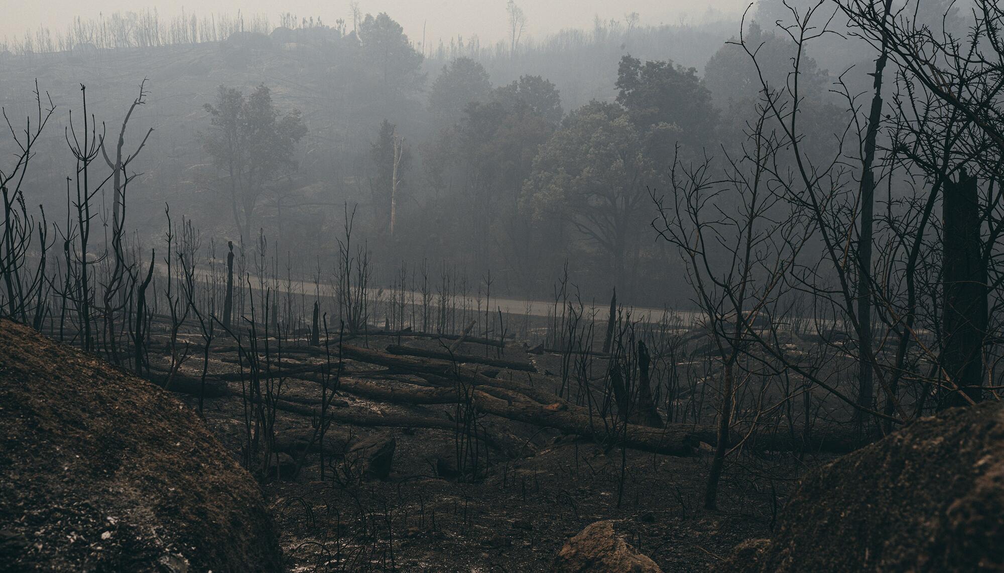 Incendio en Carballeda de Avia Ourense - 14